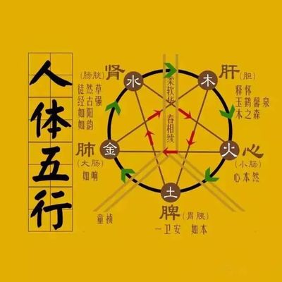 润 五行