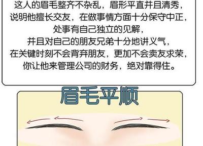八字清秀是什么意思