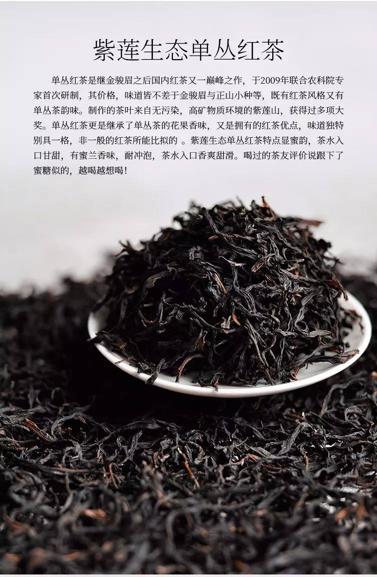 单丛红茶