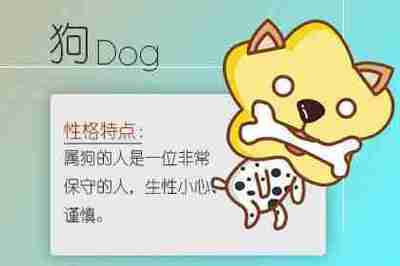 属牛女和属狗男相配吗