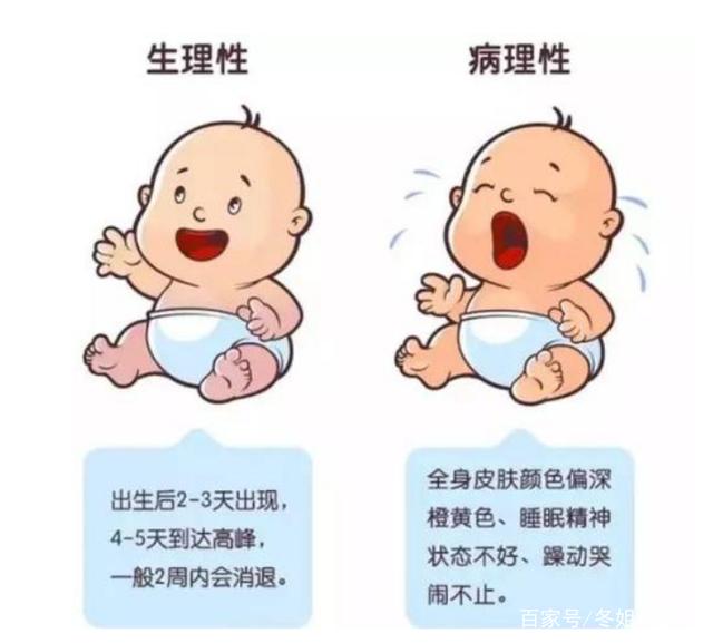 对宝宝的评价
