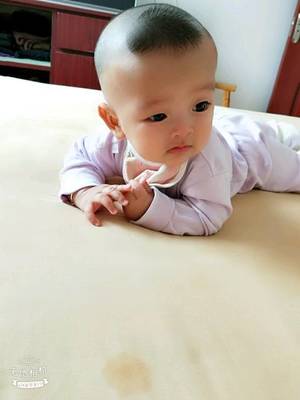 宝宝6个月多高