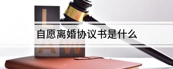 离婚赡养费是什么意思