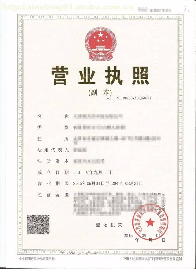 营业执照年检章图片