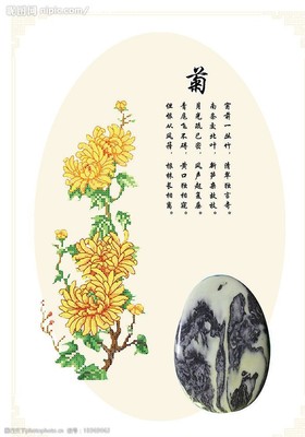 菊的诗词