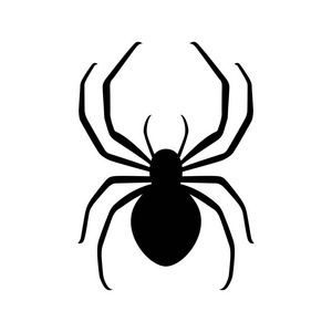spiders中文谐音