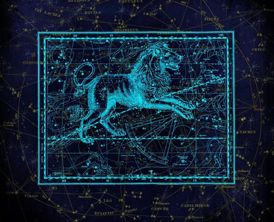 329是什么星座