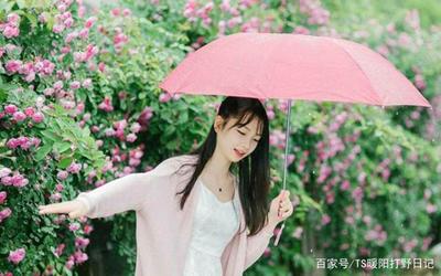 11月初星座