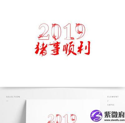 2019年的是什么命
