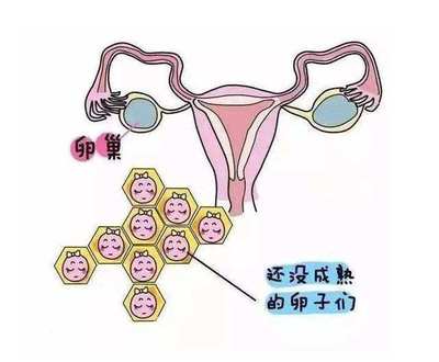 不是排卵期出血