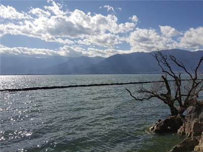 攻略洱海旅游