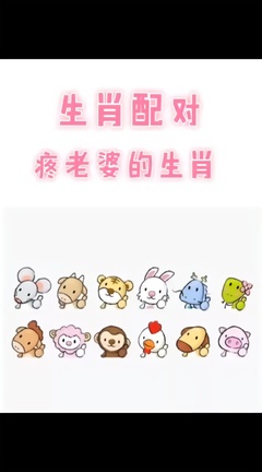 男属羊和女属猪