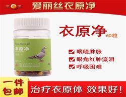 感冒咳嗽能吃鸽子吗