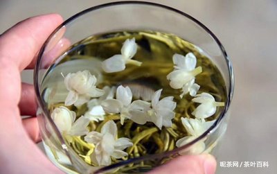 茉莉花茶是凉性的吗