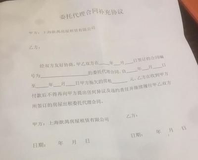 律师委托代理合同
