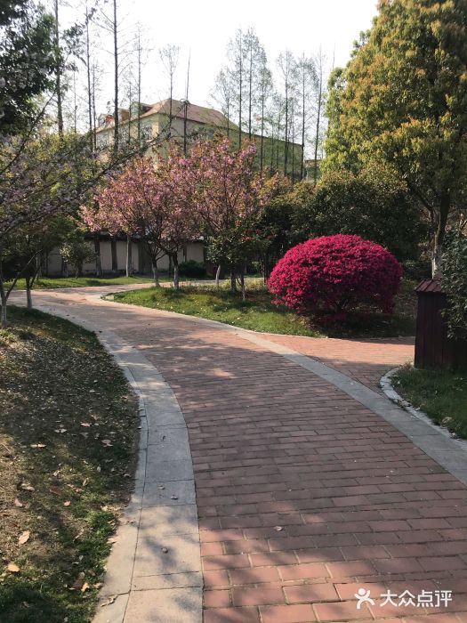 公园小区