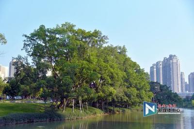 流花溪公园