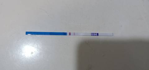排卵期能吃感冒药吗