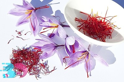 藏红花 孕妇