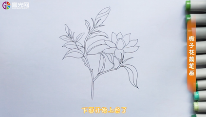 简单的栀子花怎么画