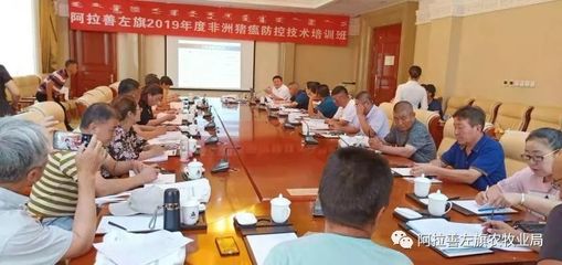 阿拉善左旗律师