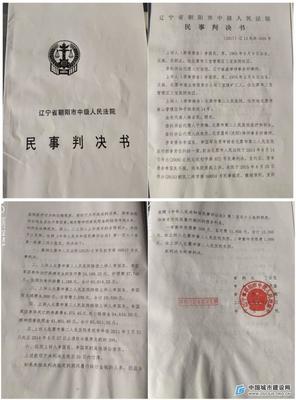 二审民事判决书生效时间