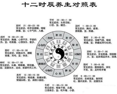 属相怎么划分