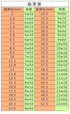 怎么算怀孕几周