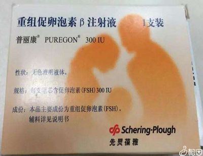 有助于怀孕的药