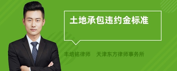 土地承包违约金标准
