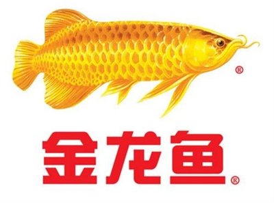 龍魚可以和羅漢養(yǎng)在一起嗎（ 水族問答