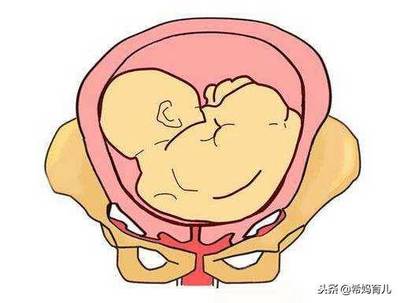 胎儿偏小一个月多少周定胎位