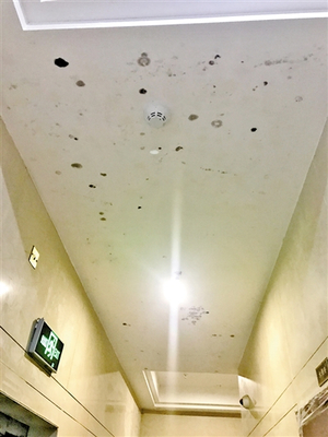 地下室能否吊顶