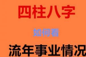 算事业运势