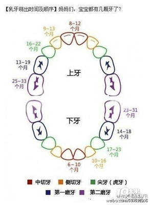 宝宝乳牙有几颗