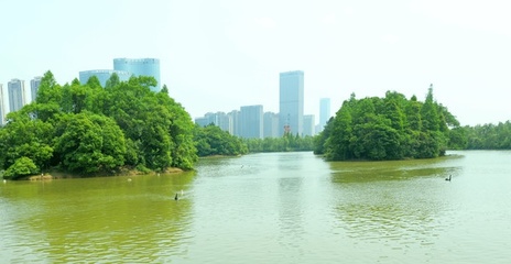 南昌湿地公园