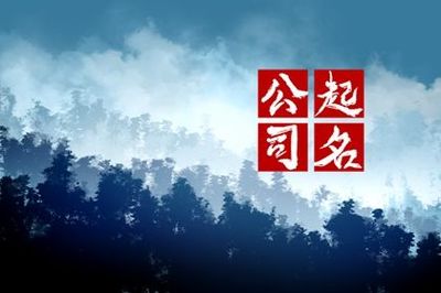 物联网公司起名