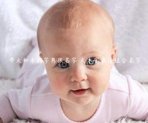 火木组合的男孩名字