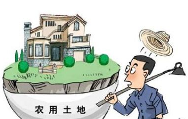农村集体土地征收补偿