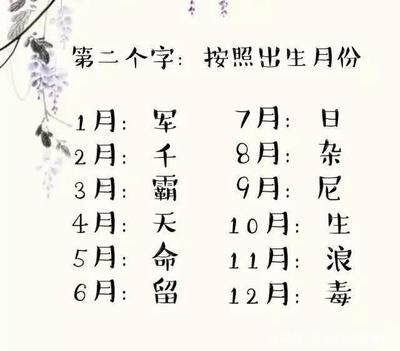 星座的名字