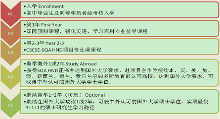 我在大学的规划怎么写