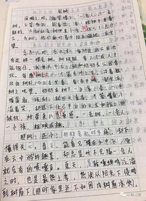 用我的姥姥写一作文怎么写