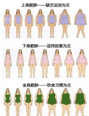 减肥是全身都会瘦吗