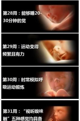 胎儿几个月发育听力