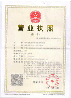子公司营业执照图片