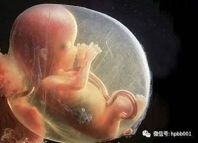 七个月宝宝一周不拉屎
