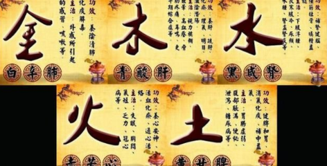 88年五行属什么
