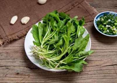 孕妇能不能吃荠菜
