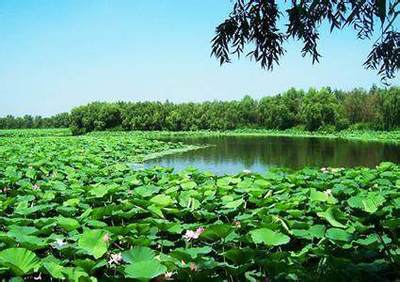 沈阳西湖