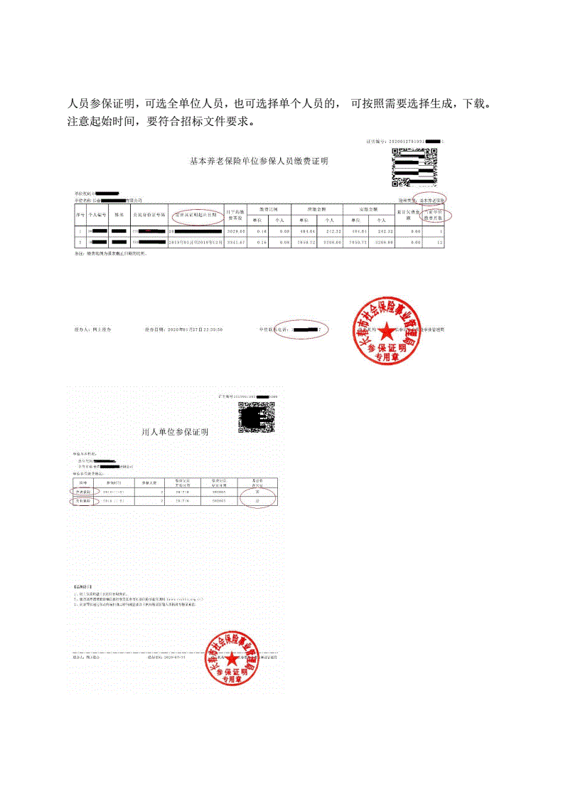 标书中社保证明没有养老保险